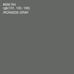 #656764 - Ironside Gray Color Image